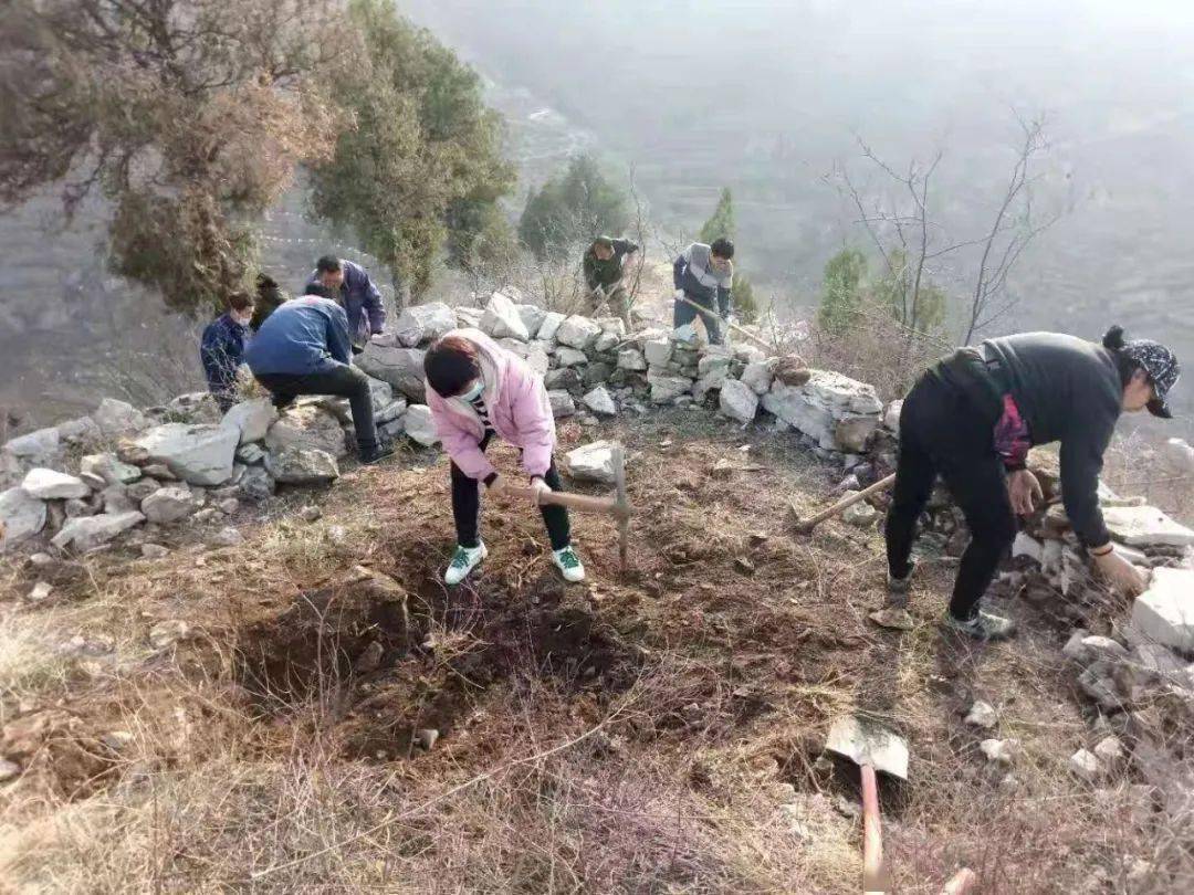 增绿154万亩种下绿美磁县