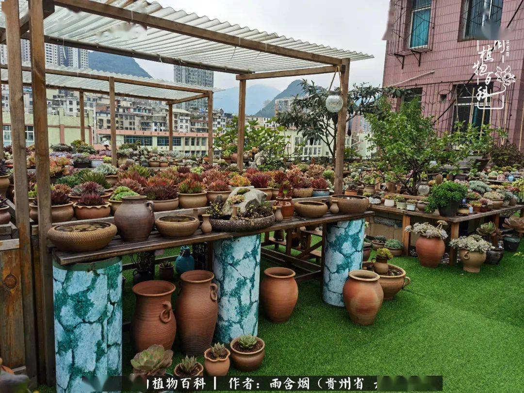 打造梦想中的多肉花园累并快乐着