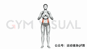21蛙式卷腹20绳索卷腹19坐姿卷腹18夹球卷腹17悬挂卷腹16腹斜肌卷腹15