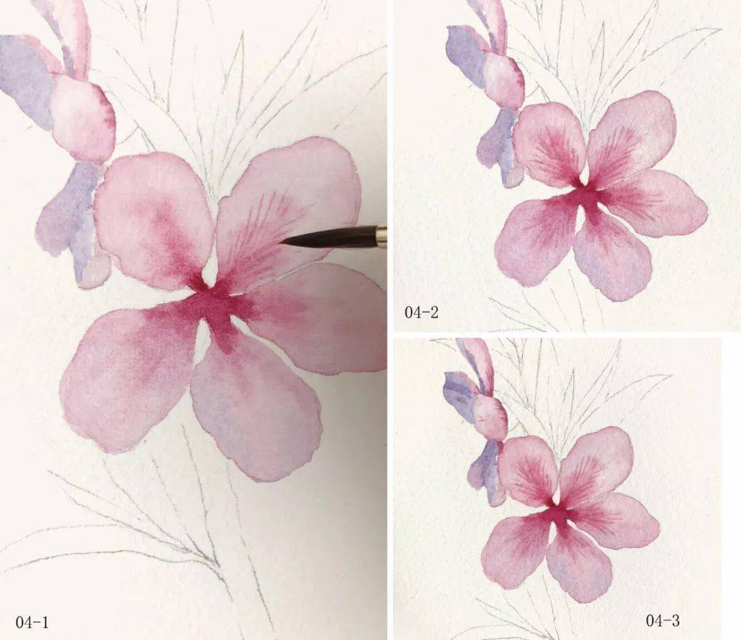 等画面完全干透后,调和深茜红和紫红,颜色调得厚重一些,用勾线笔画