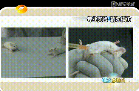 466_304gif 动态图 动图