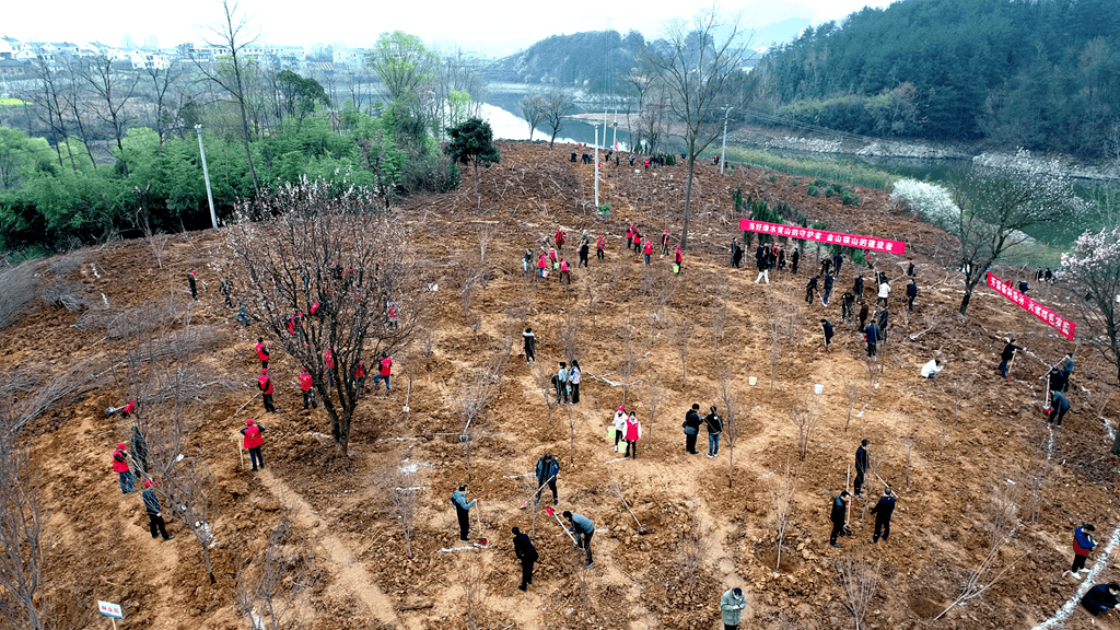 竹溪义务植树添新绿干群合力增春色