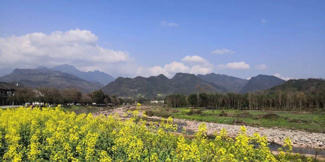 鹤鸣镇 spring 一个装满春天的地方 一个百花点缀的地方 大邑的"十一