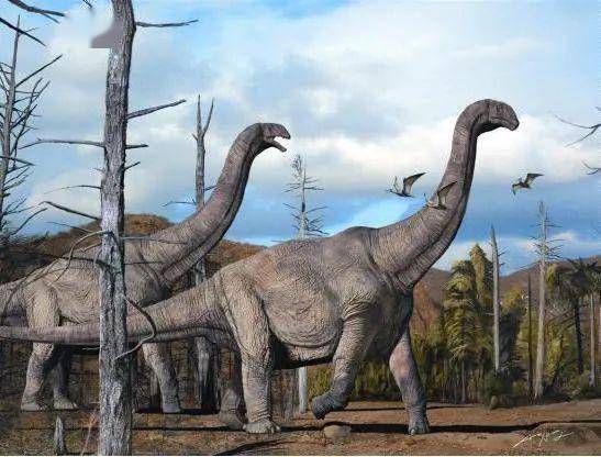 汝阳黄河巨龙是河南自然博物馆第一次发现并开展规模性发掘的恐龙,对