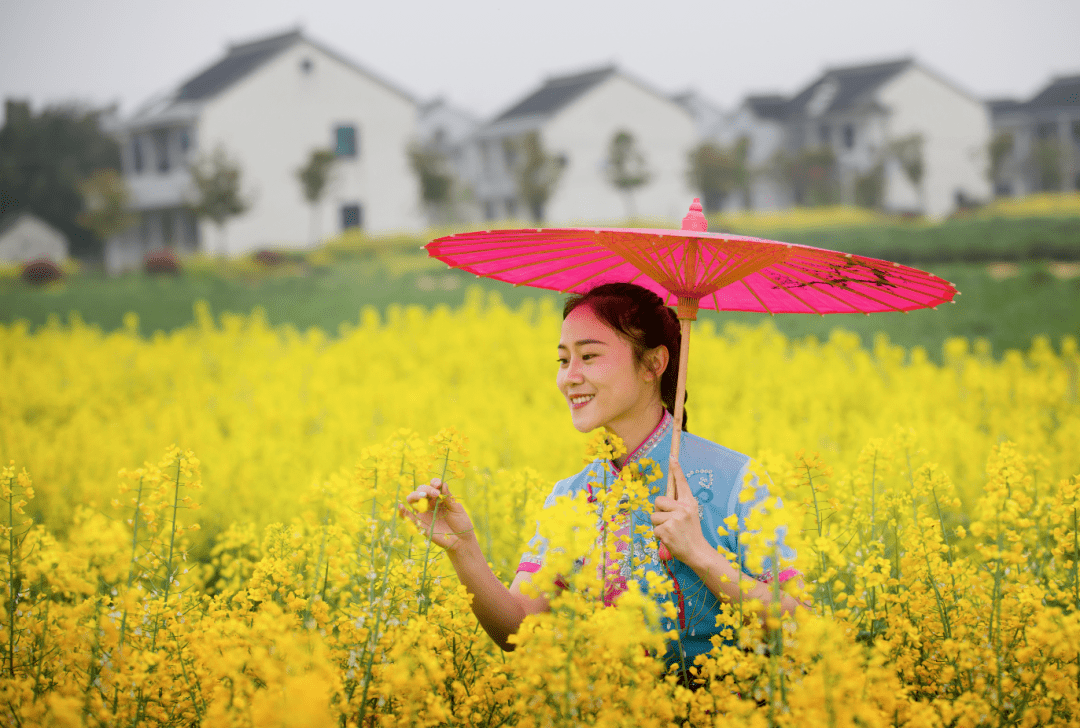 暗香盈袖,婉约如诗,开在古镇深处的美人花