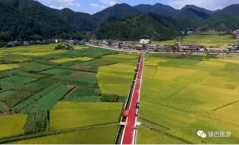 2021年汉中油菜花节镇巴分会场精彩活动抢先看!