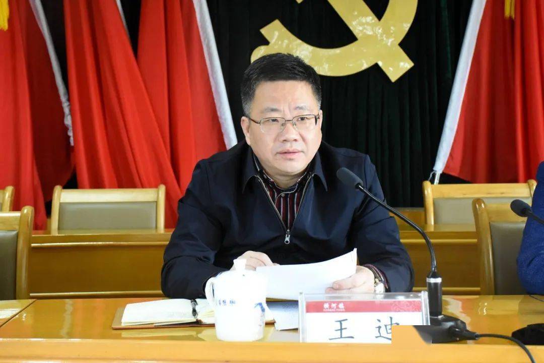 镇党委书记王迪作动员讲话和集体廉政谈话
