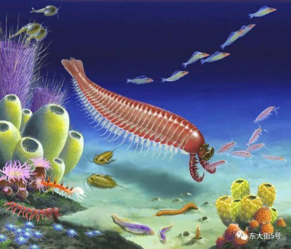 李氏源掠兽,章氏麒麟虾,介形虫……这些远古生物之谜被解开!