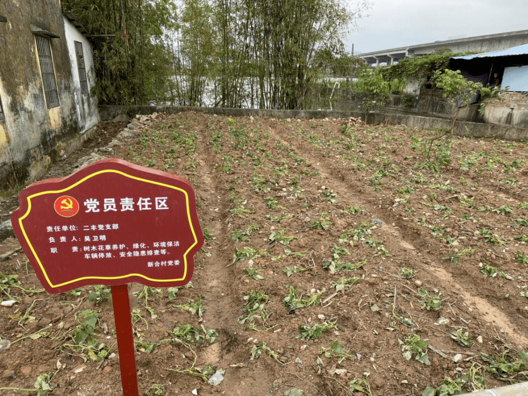 成为乡村的一道靓丽风景 党员们亲力亲为在党员责任区种植绿化花木