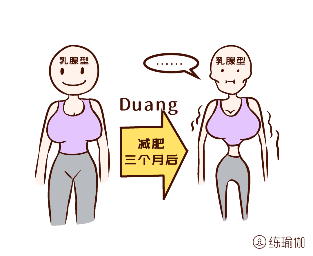 脂肪型—脂肪占比更多乳腺型—乳腺腺体占比更多是乳腺型还是脂肪