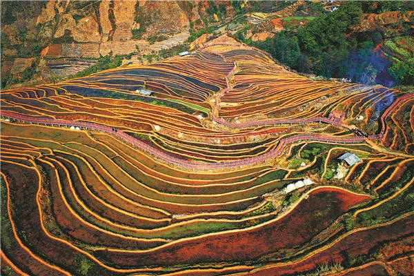 米易梯田 余培胤 摄