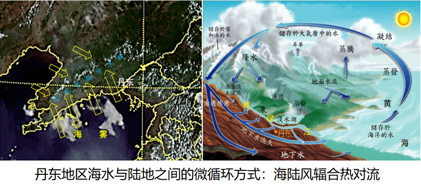 海洋潮汐调节沿海陆地河口小气候,天气现象