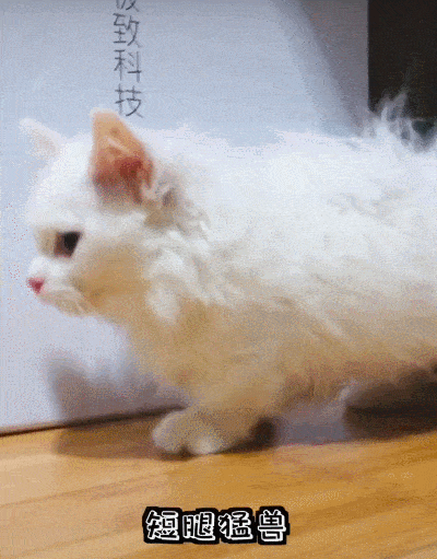 400_511 竖版 竖屏