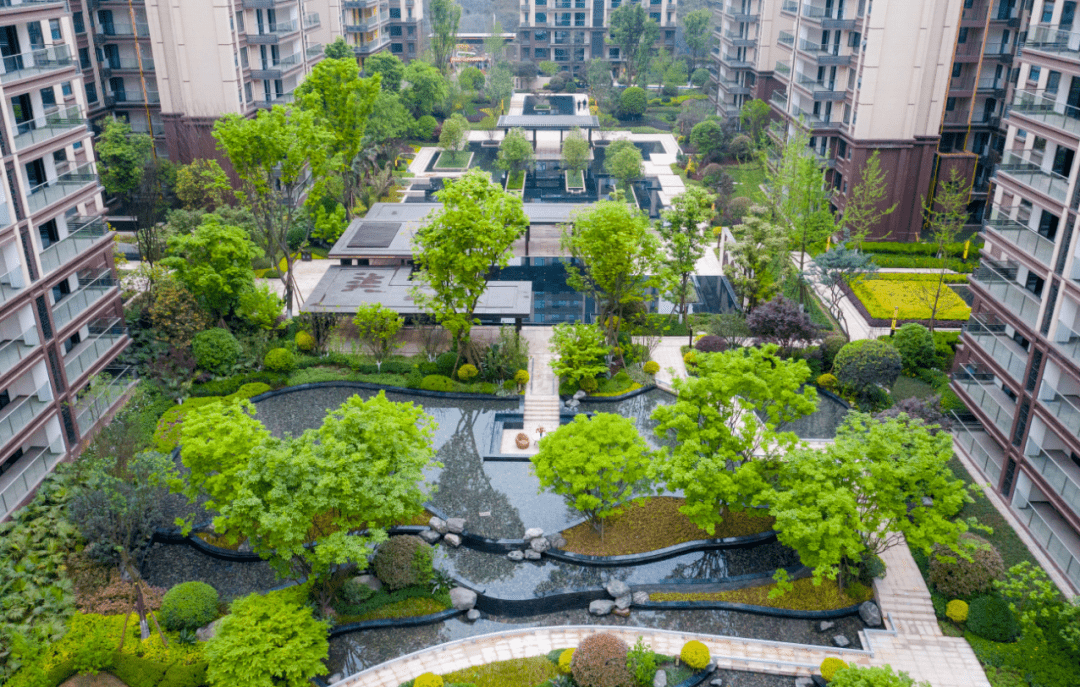 △邦泰·天誉(东区)实景图