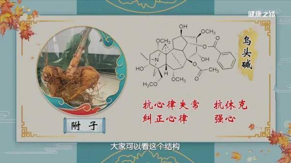 是毒药也是救命药这4种药材您用对了吗