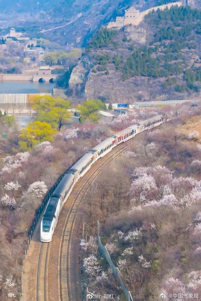 北京居庸关最美花海 驶向春天的列车