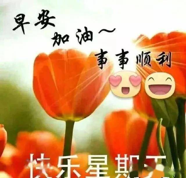 快[玫瑰]看人间多美好, 乐[玫瑰]园华夏颂吉祥.