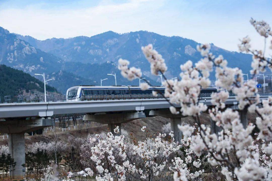 乘着地铁游青岛这条青岛最美地铁线所到之处皆风景