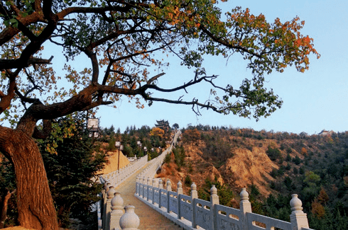 103761发现宁夏丨100个最美观景拍摄点东岳山