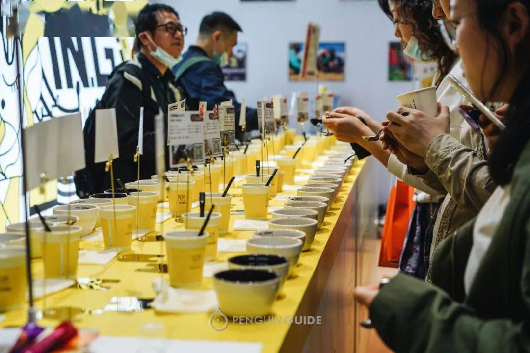 在咖啡展上,各家豆商都带来了最新产季的豆子,耳边一片此起彼伏的杯测