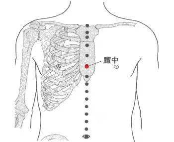 注:在胸部前正中线上,平第4肋间,两 乳头 连线之中点.