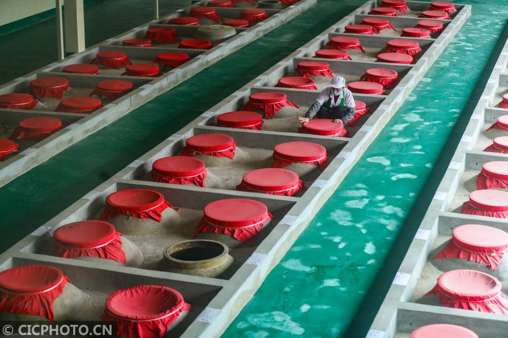 在四川省宜宾市翠屏区宗场镇一食品企业生产车间,工人在加工青菜