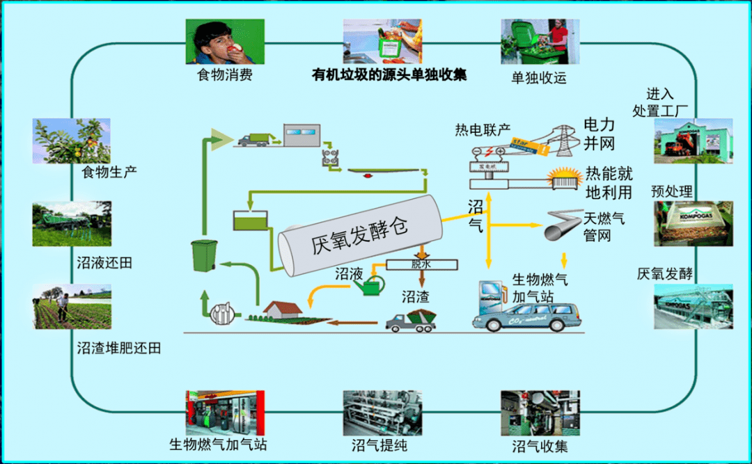 用循环经济趋动乡村振兴基于有机生活垃圾资源化利用的思考