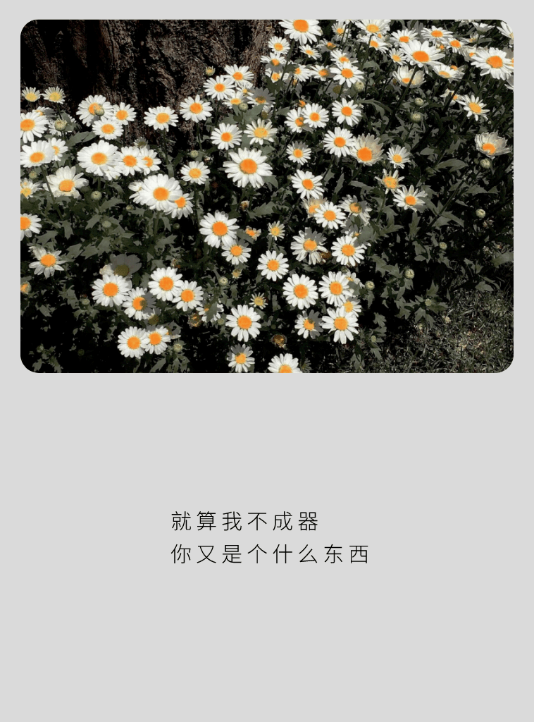 背景图|让一让 自拍来了