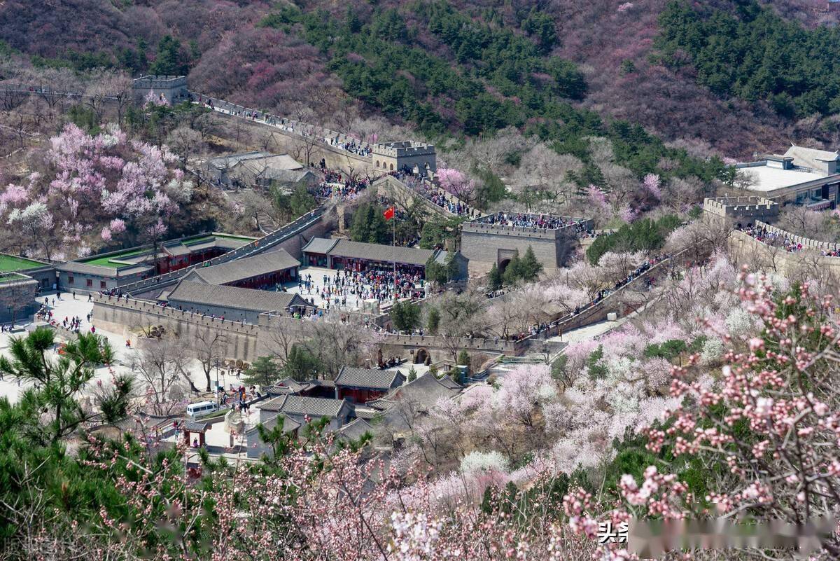 清明假期北京八达岭长城游客赏春忙