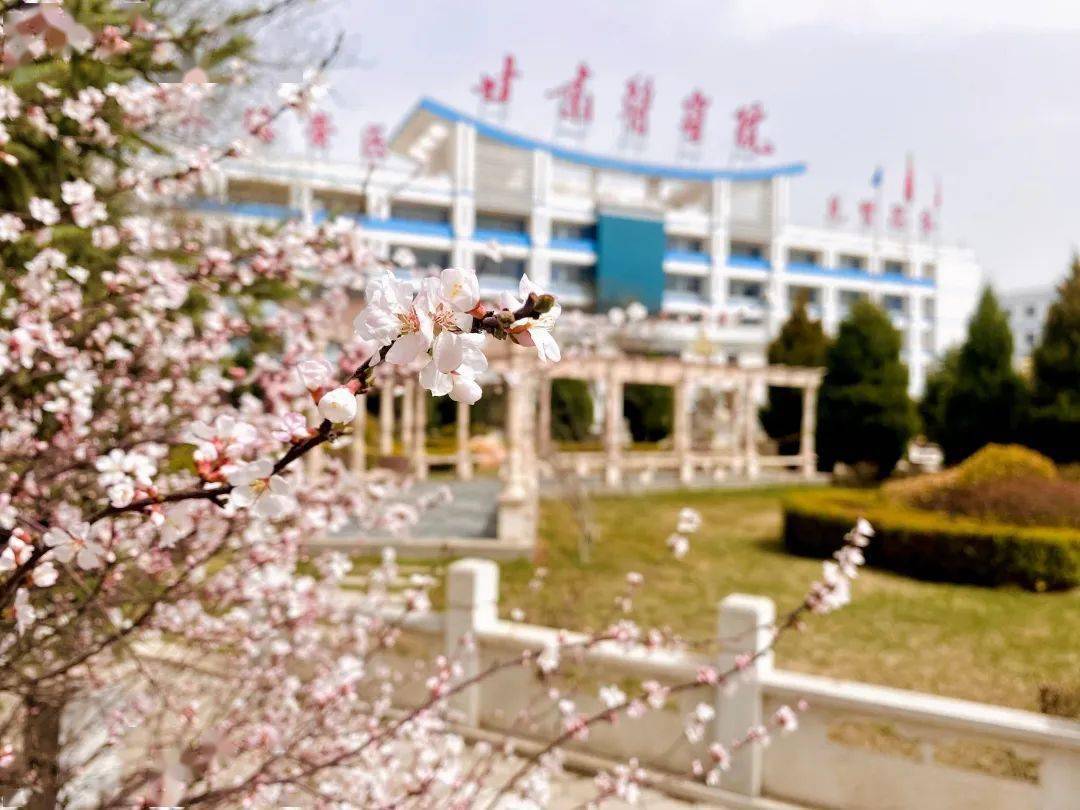 快来看甘肃高校校花出炉你最中意哪一枝