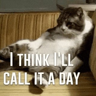 its time to call it a day.  我挺累的,今天就先这样吧. 3 i have