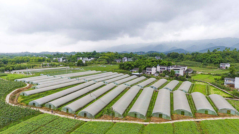 种好国家试验田⑥|璧山:有效促进生态增值,农业增效,农民增收