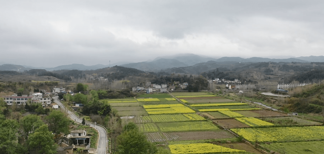 美丽乡村乘马岗村以红促绿0202美丽乡村建设如火如荼