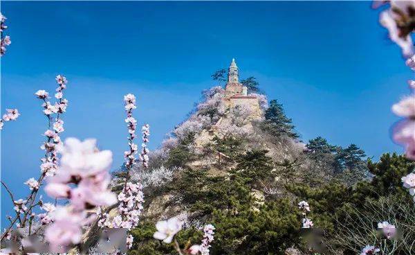 天津爬山好去处大盘点五一来这里兜风爽到飞起