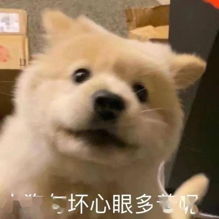 表情包 | 天真灿烂,尘世游漫