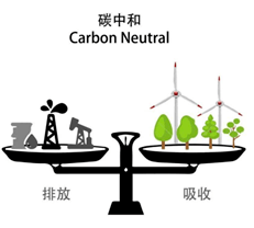 最强风口碳中和有哪些赚钱机会