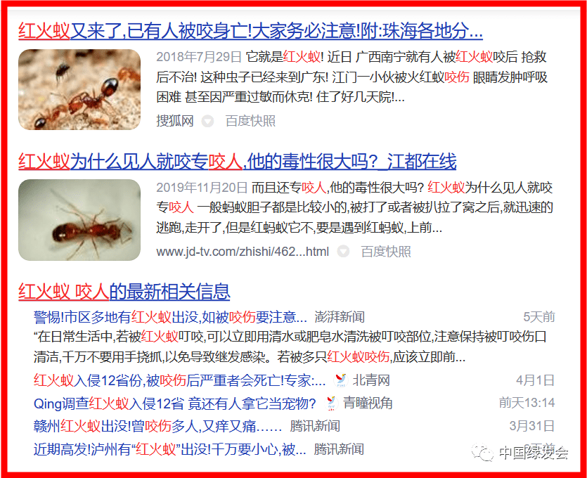 网络直播电商成为红火蚁入侵的捷径维护生物安全电商监管有责