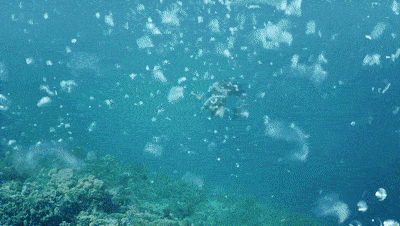 有钱人的世界,都内卷到海底了