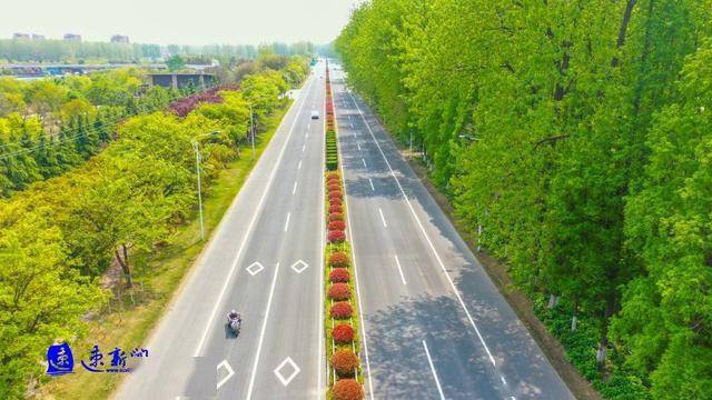 泗阳:打造公路生态廊道 助力乡村振兴