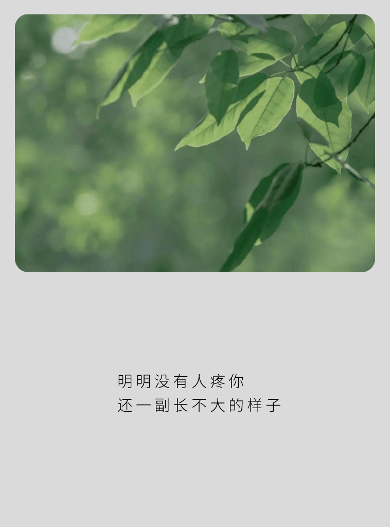 表情包|雨好大 我们回不去了