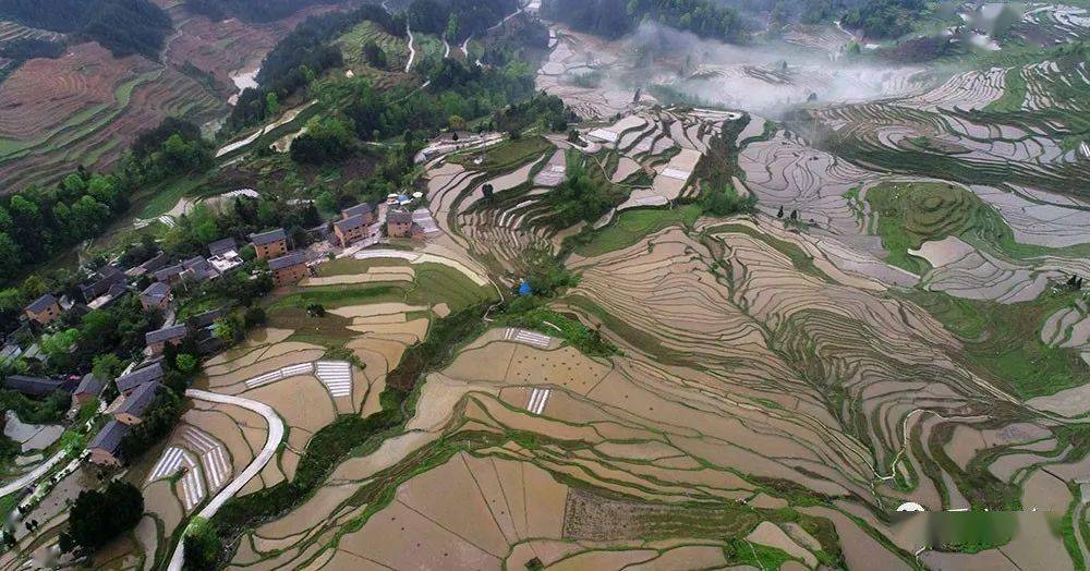 美图| 航拍重庆酉阳花田乡 云雾绕梯田美景入画来