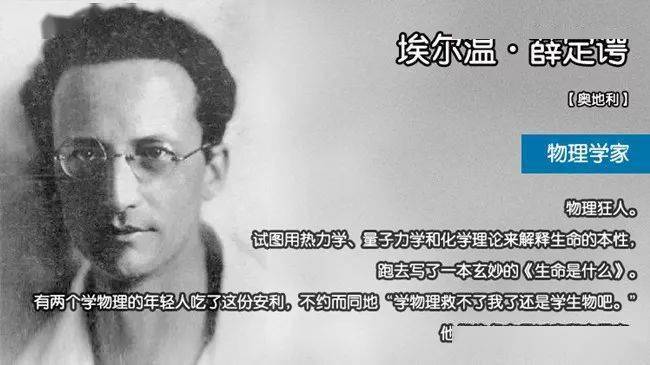 趣味物理来试试和世界各著名物理学家谈恋爱是什么感觉吧
