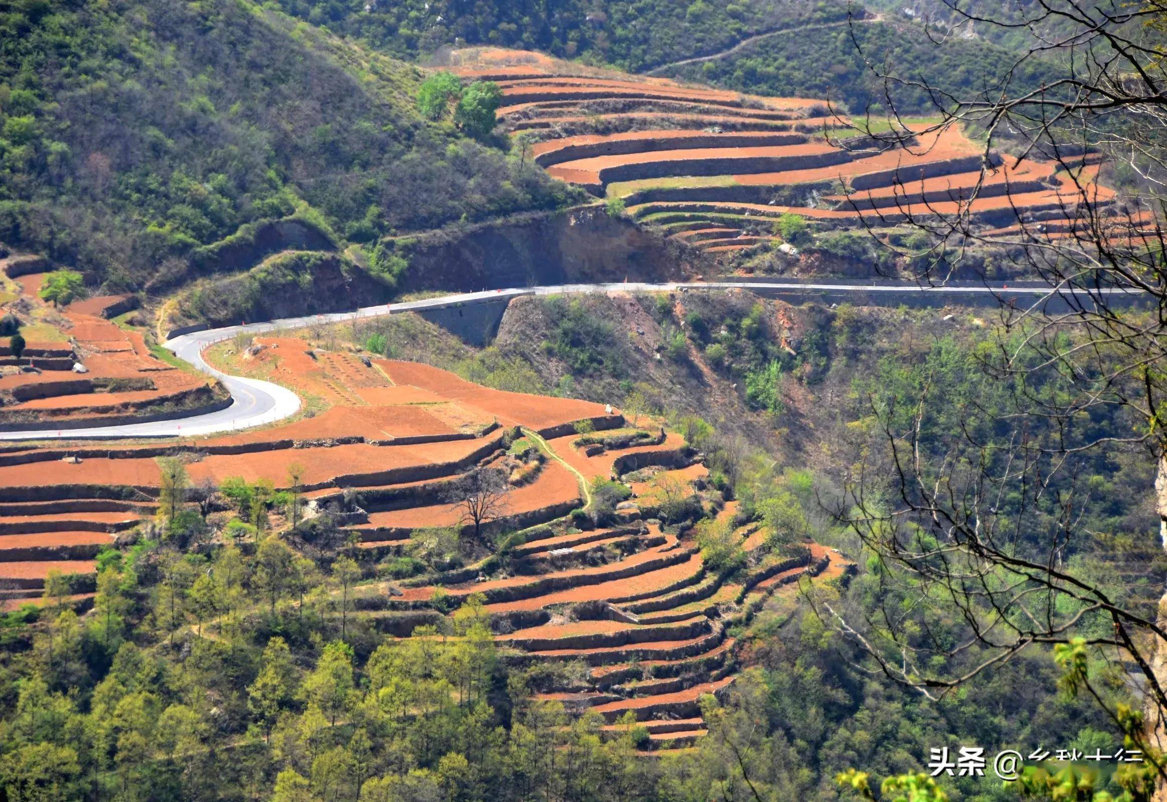 太行春天之乡村梯田(一)