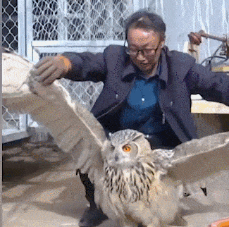 村民拎野鸡到派出所,警察:老乡,我们不收猫!_猫头鹰