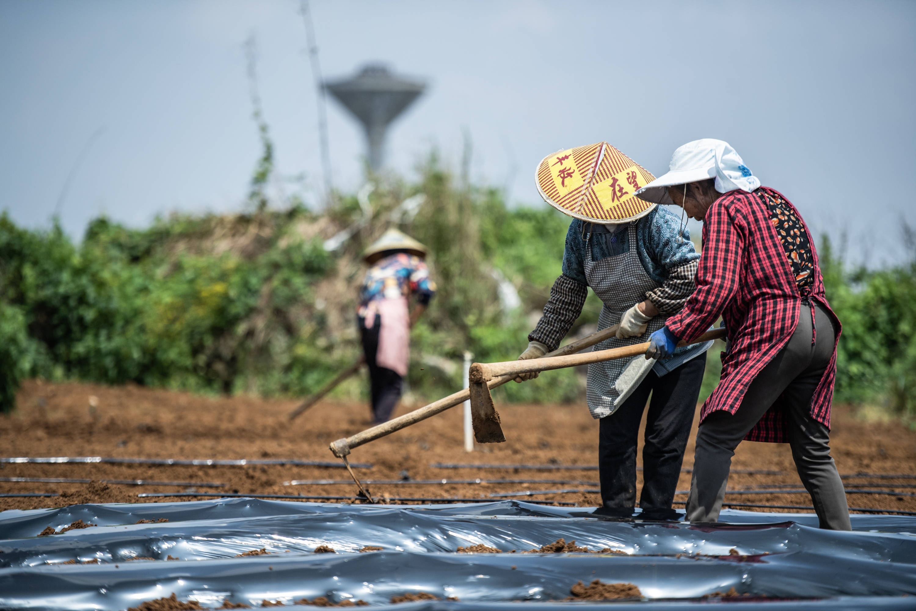 4月20日,贵州省六盘水市六枝特区木岗镇农民在田地里劳作.