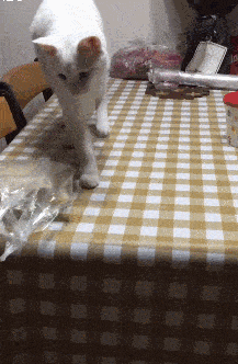 如何毁掉信任!我信你个鬼,你这个糟老头!