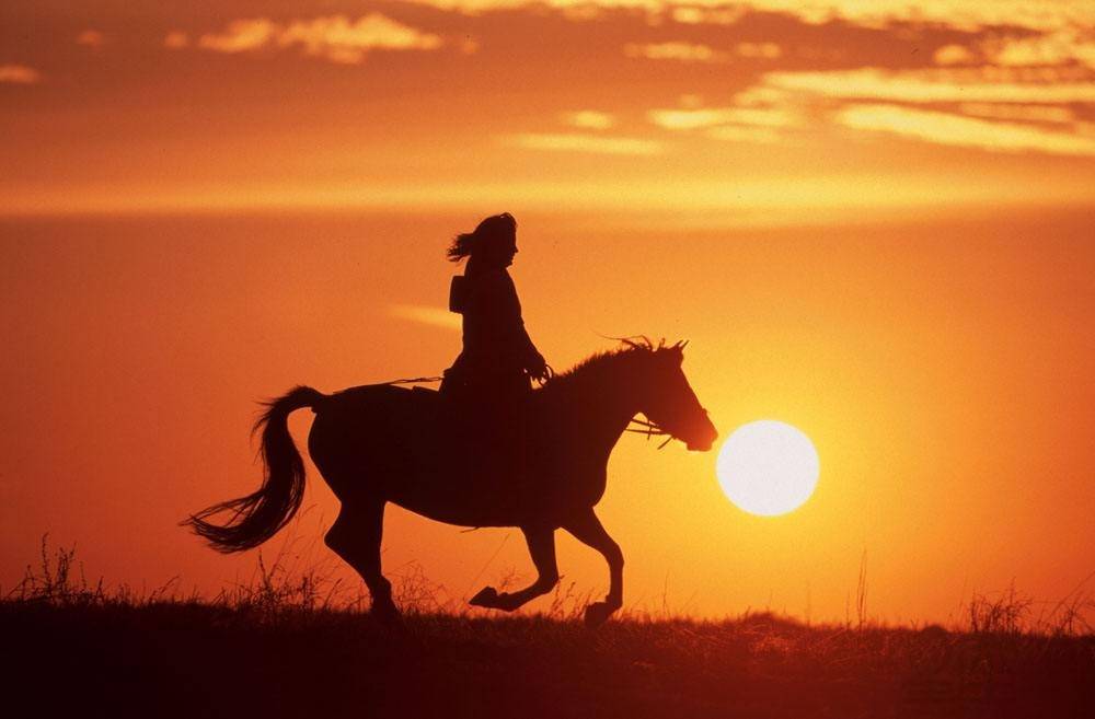 梦见骑马周公解梦,梦见骑马是什么意思?