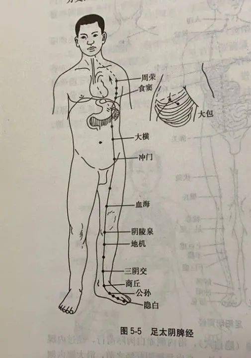 5,手少阴心经