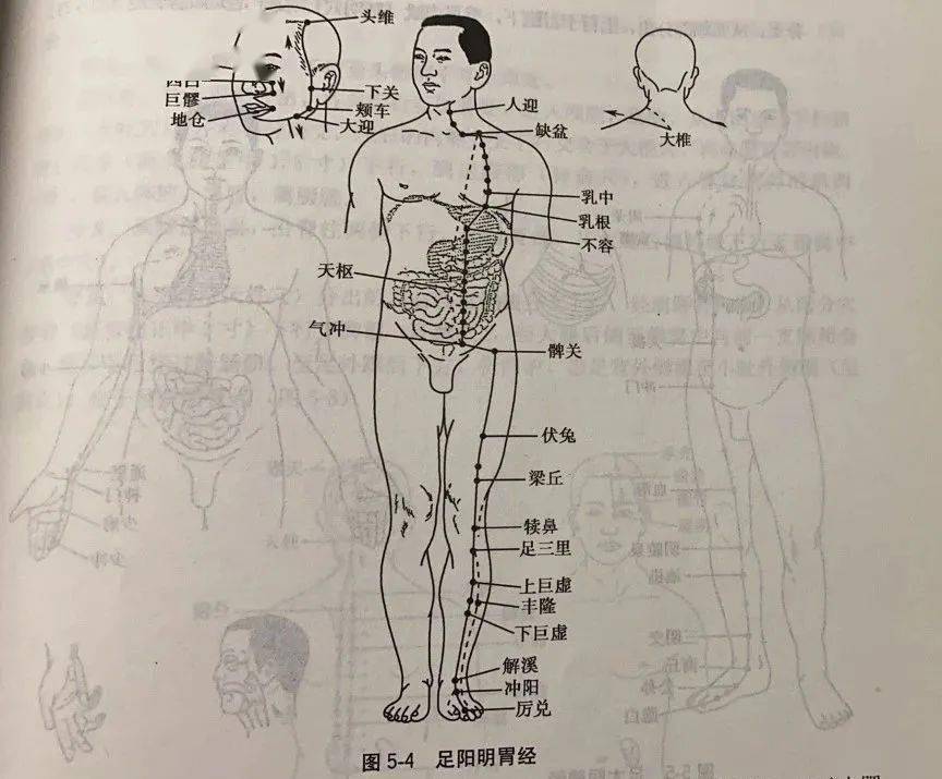 4,足太阴脾经