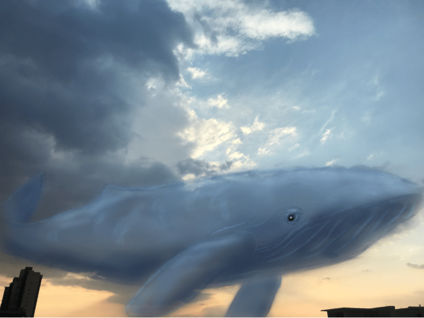 鱼云 来自搜狐网